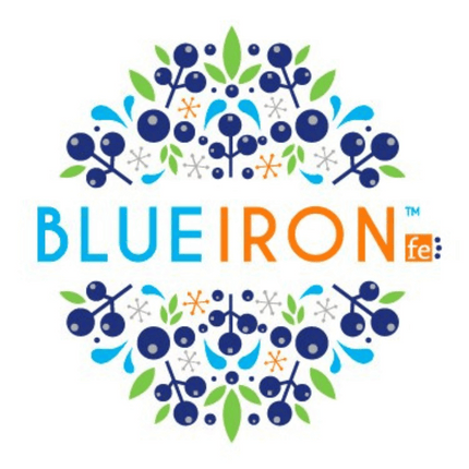 BlueIron Logo