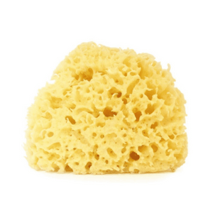 
                  
                    Load image into Gallery viewer, Anewmum – Natural Honeycomb Sea Sponge
                  
                