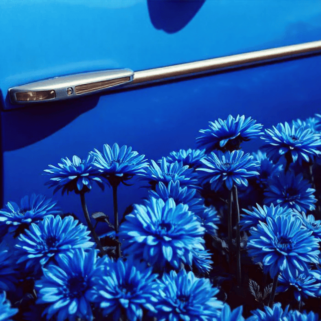Baija Blue Ginger Car Scent - product image 2