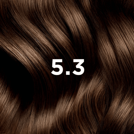 PHYTO HAIR COLOR 5.3 LIGHT GOLDEN BROWN