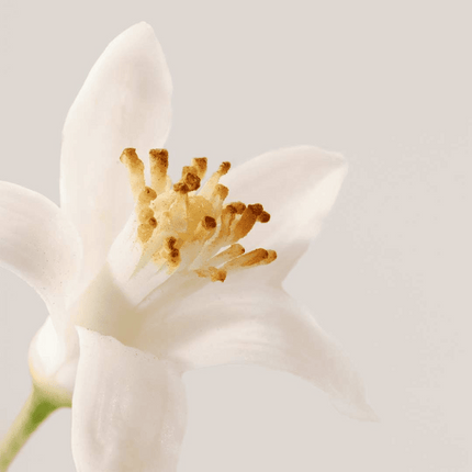 Payot Neroli Summer Scented Care Body Mist 100ml