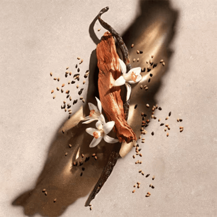 Zadig & Voltaire ZADIG Eau de Parfum Spray gift set