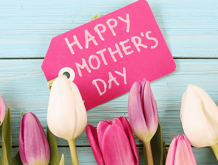 <h1><em>15th March</em></h1>